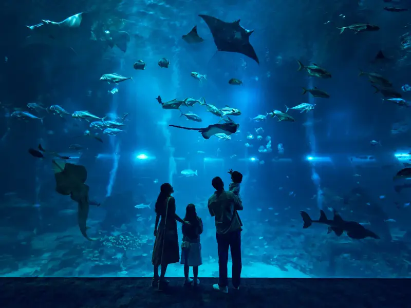 Thuỷ cung Singapore Oceanarium - ảnh 3