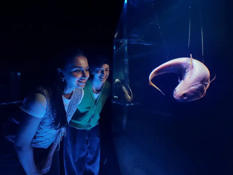 Thuỷ cung Singapore Oceanarium - ảnh 4