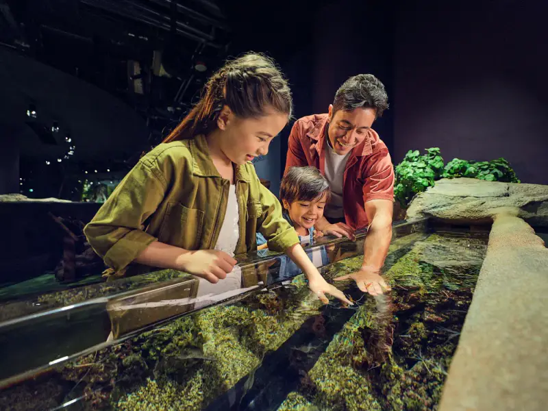 Thuỷ cung Singapore Oceanarium - ảnh 5