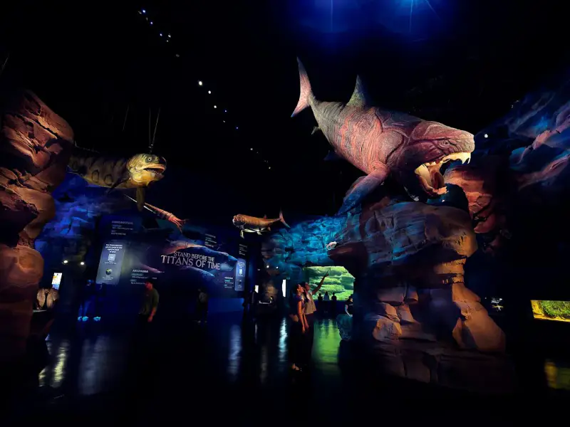 Thuỷ cung Singapore Oceanarium - ảnh 6