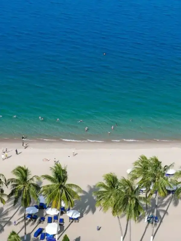 Bãi Dài Nha Trang - ảnh 2