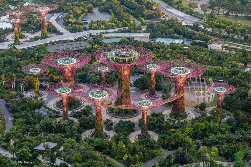 Supertree Grove - ảnh 3