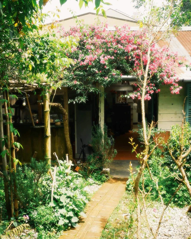 Nhặt Nắng - ảnh 7