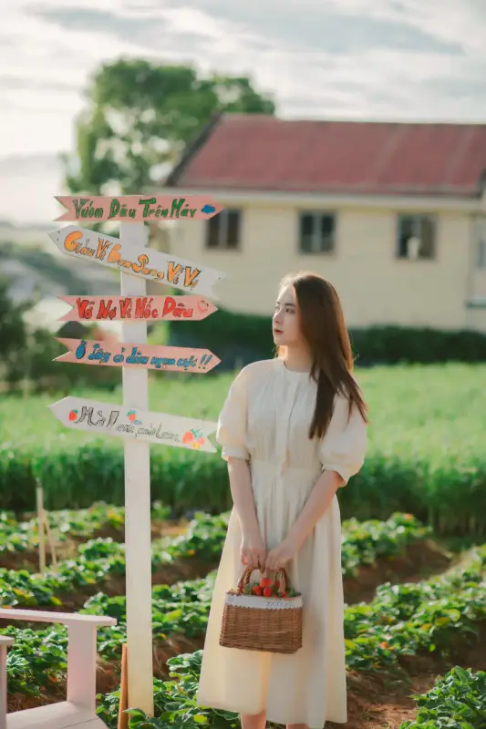 Vườn dâu Trên Mây Đà Lạt - ảnh 3