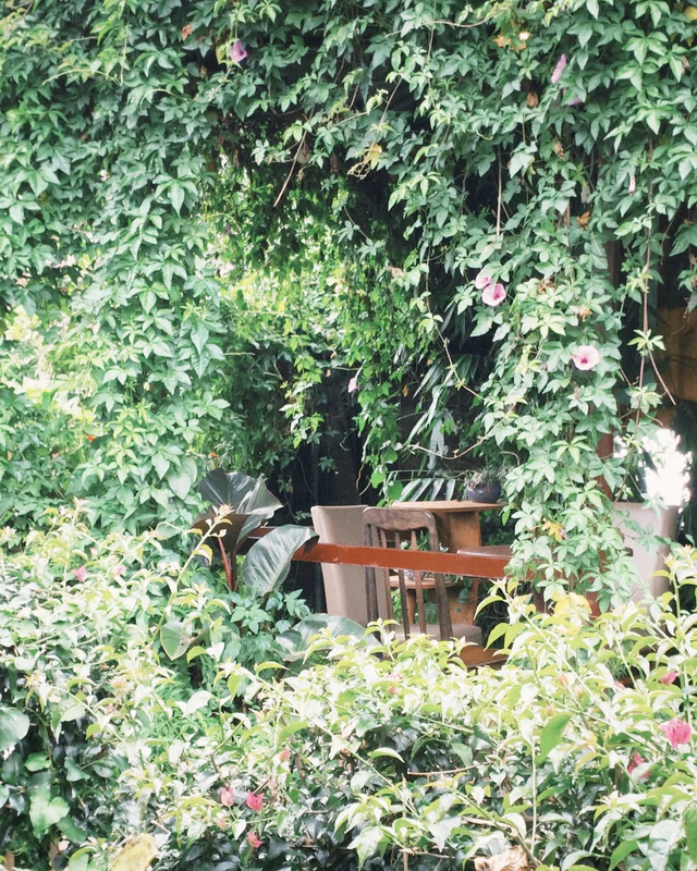 Nhặt Nắng - ảnh 2