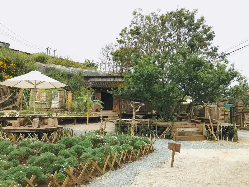 Rừng Đom Đóm Cafe - ảnh 5
