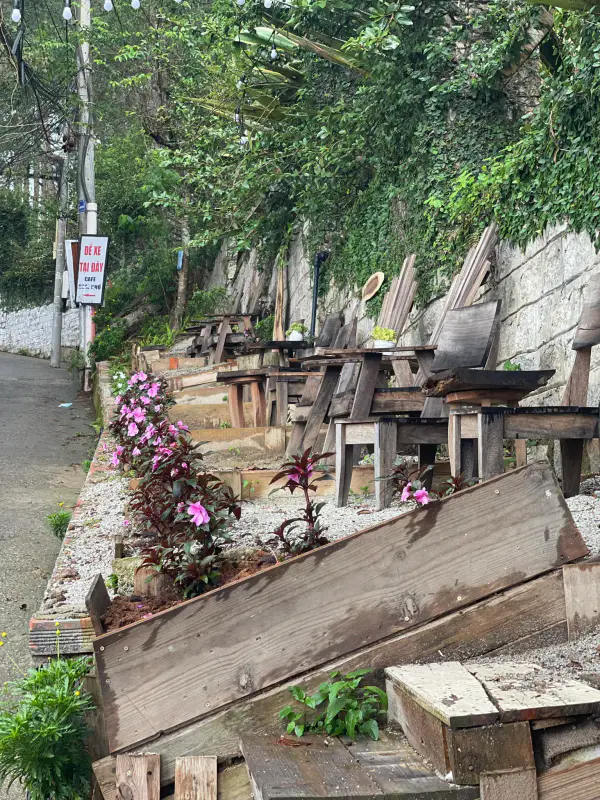 Coffee Em và Trịnh - ảnh 2
