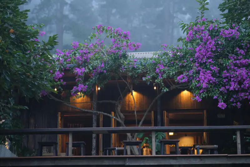 Tiệm cà phê Nắng Thuỷ Tinh - ảnh 2