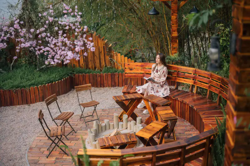 Tiệm cà phê bánh Nhà Mây Cây - ảnh 2
