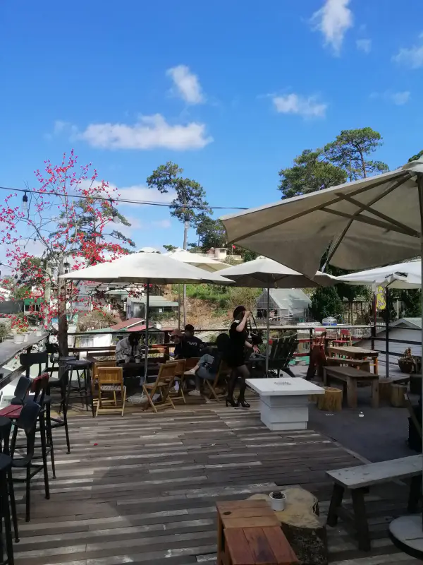 Coffee Em và Trịnh - ảnh 4