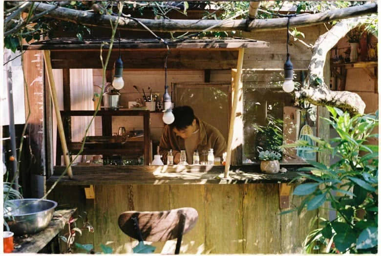 Nhặt Nắng - ảnh 4