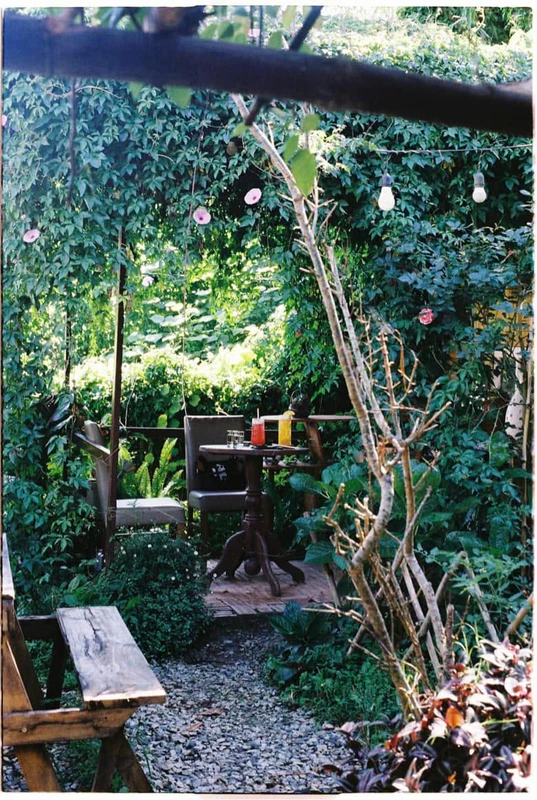 Nhặt Nắng - ảnh 5