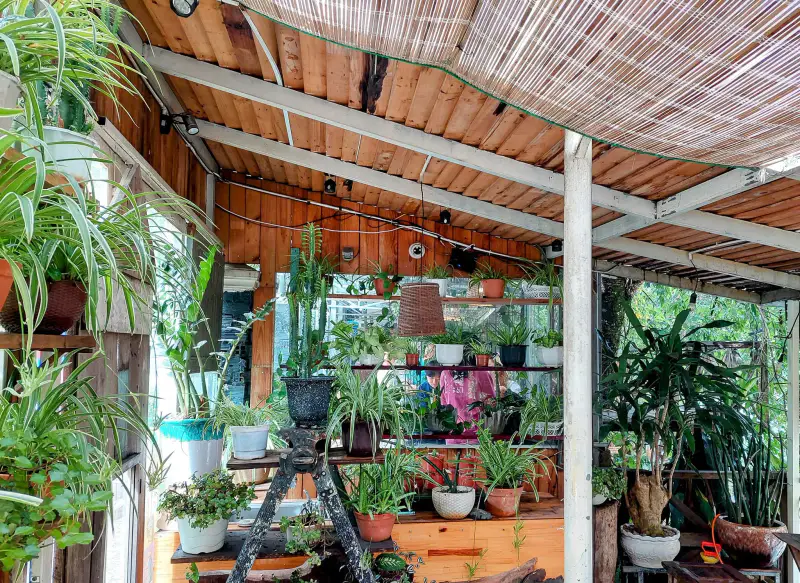 An Cafe đà lạt - ảnh 7