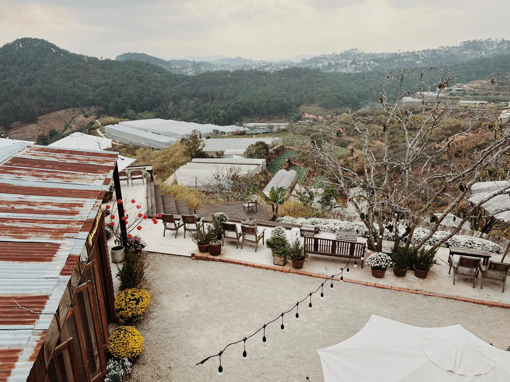 Pura Vida Dalat - ảnh 2
