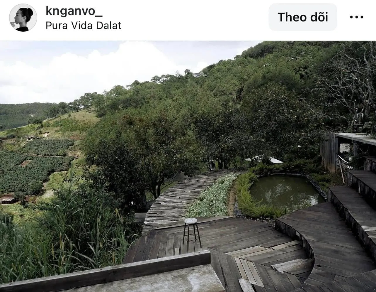 Pura Vida Dalat - ảnh 3