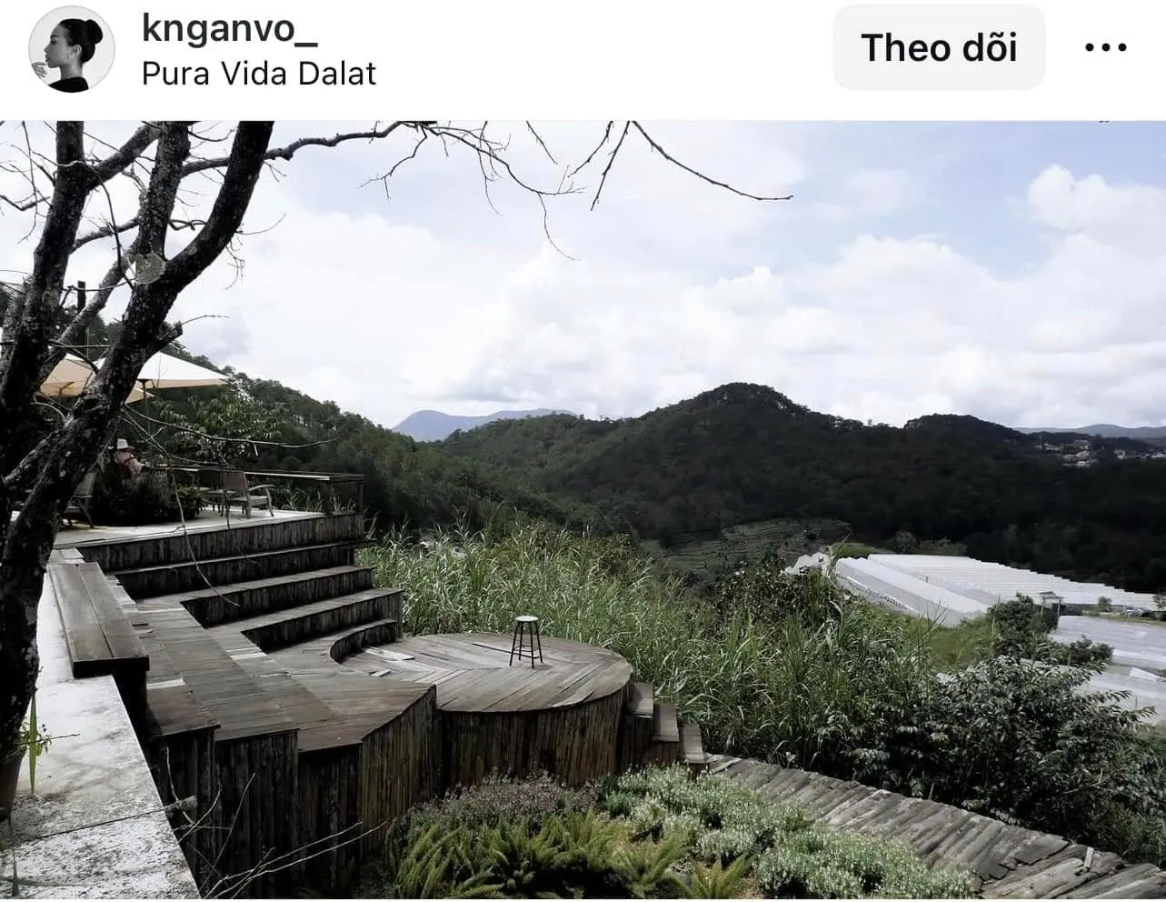 Pura Vida Dalat - ảnh 4