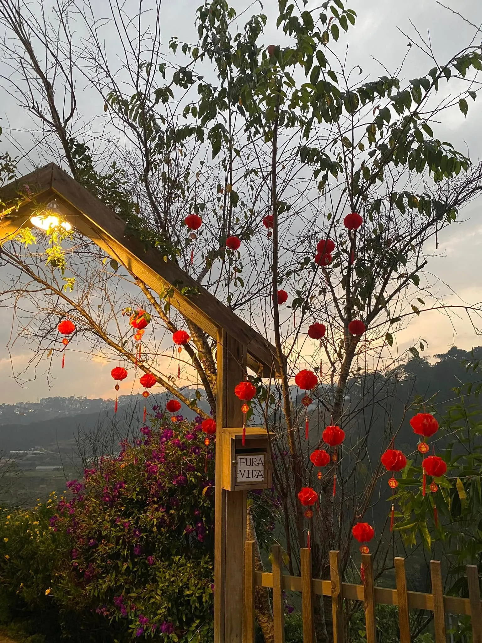 Pura Vida Dalat - ảnh 8