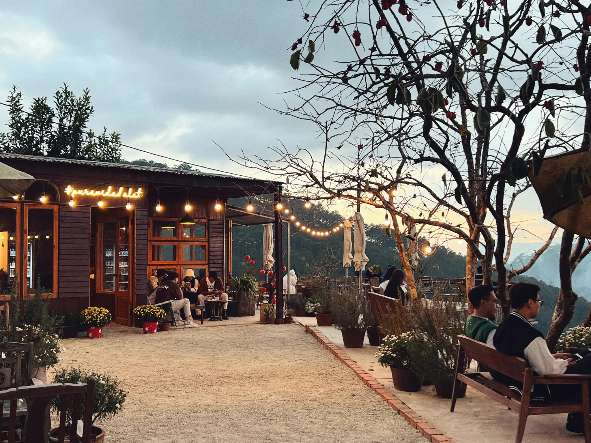 Pura Vida Dalat - ảnh 6