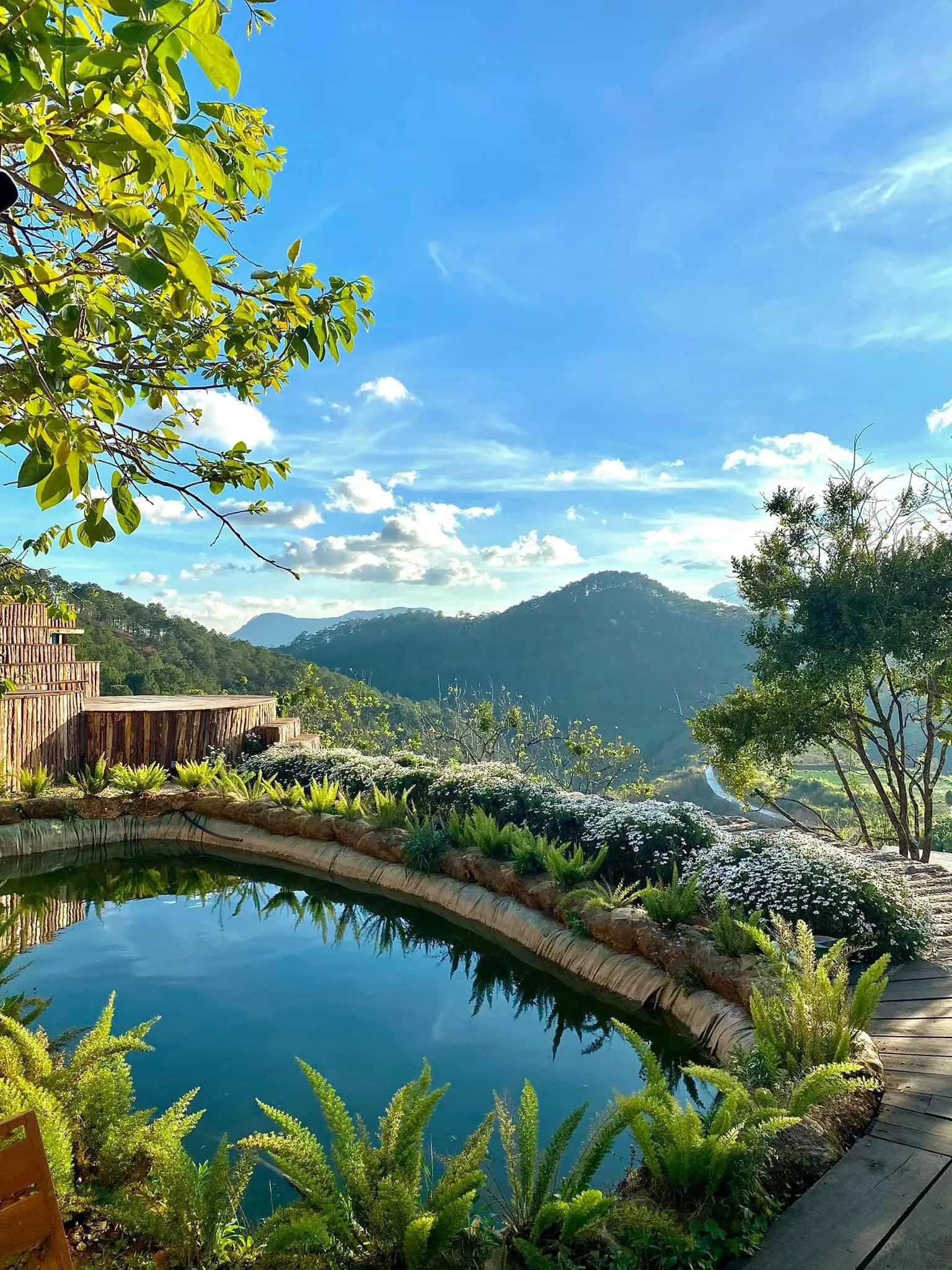 Pura Vida Dalat - ảnh 5