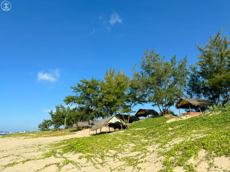 Bãi biển Đồi Nhái - ảnh 3