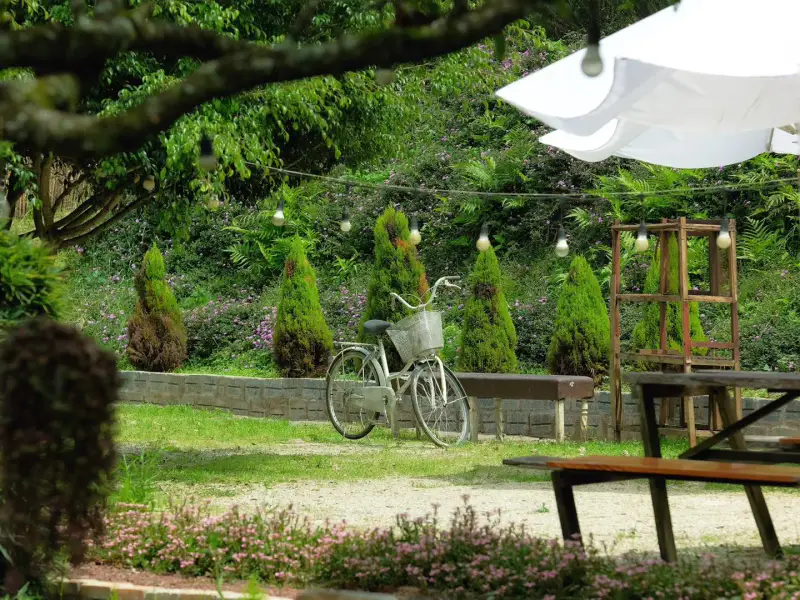Rừng Đom Đóm Cafe - ảnh 2
