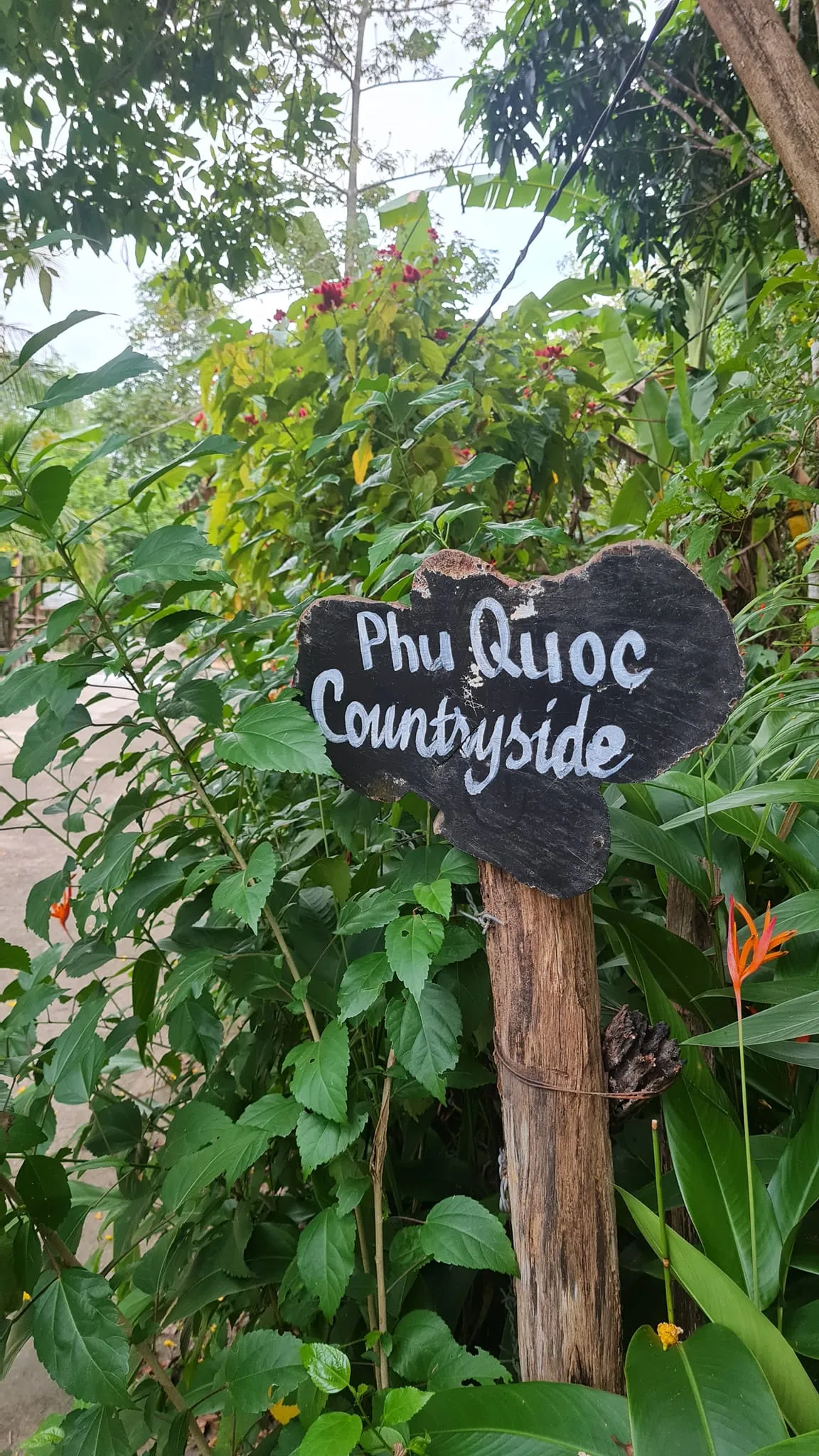 Phu Quoc Countryside - Pepper Farm - ảnh 2