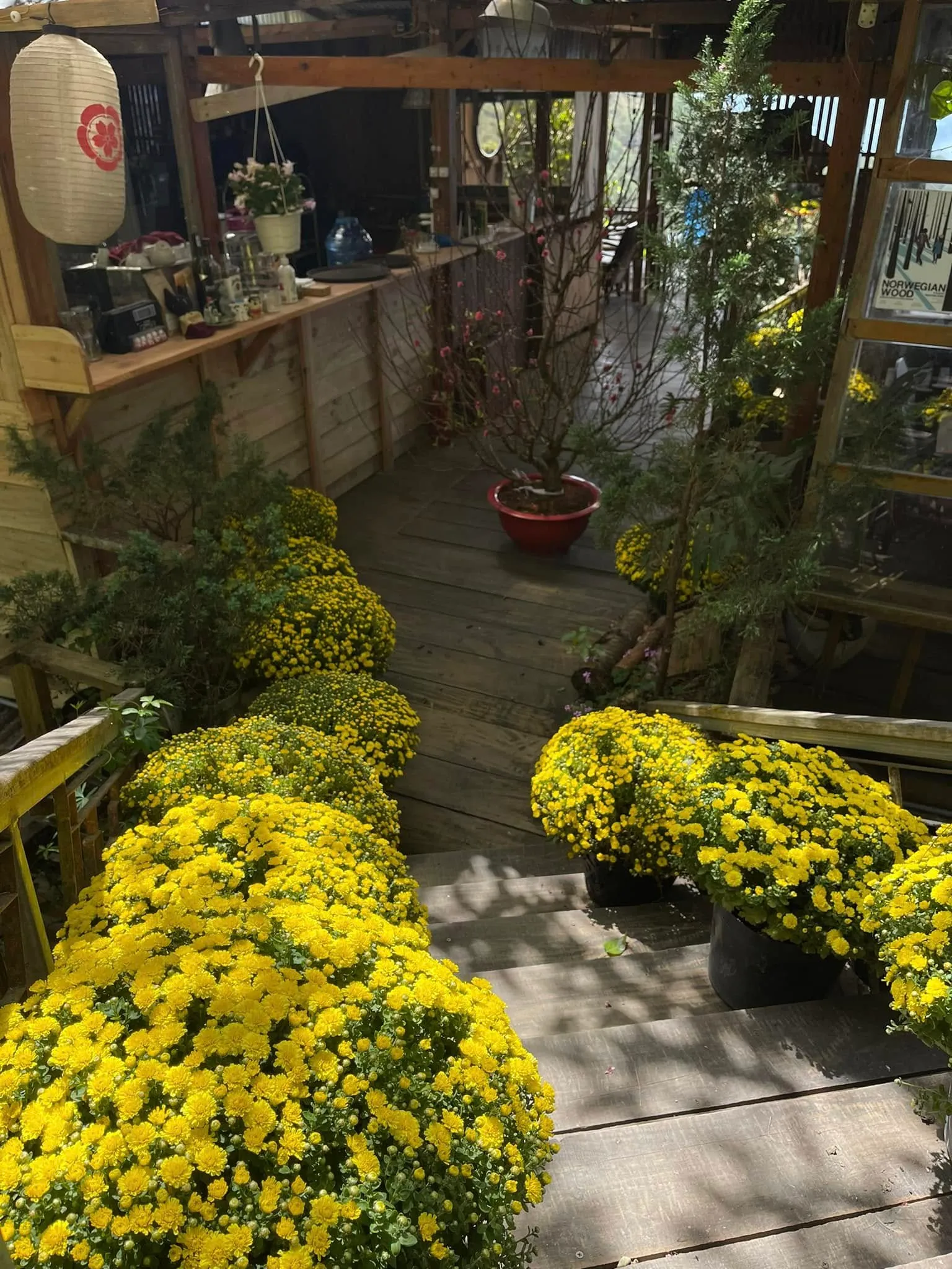 RỪNG NA UY cafe - ảnh 5