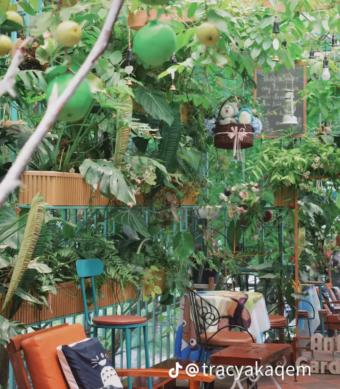 Ants Cafe (Tiệm cà phê Kiến) - ảnh 4