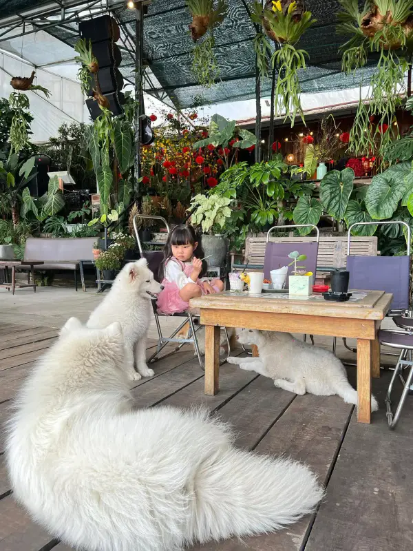 Cafe 24h GâuGarden - ảnh 7
