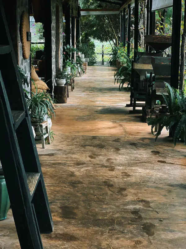 Em Tà Nung Coffee Farm - ảnh 2