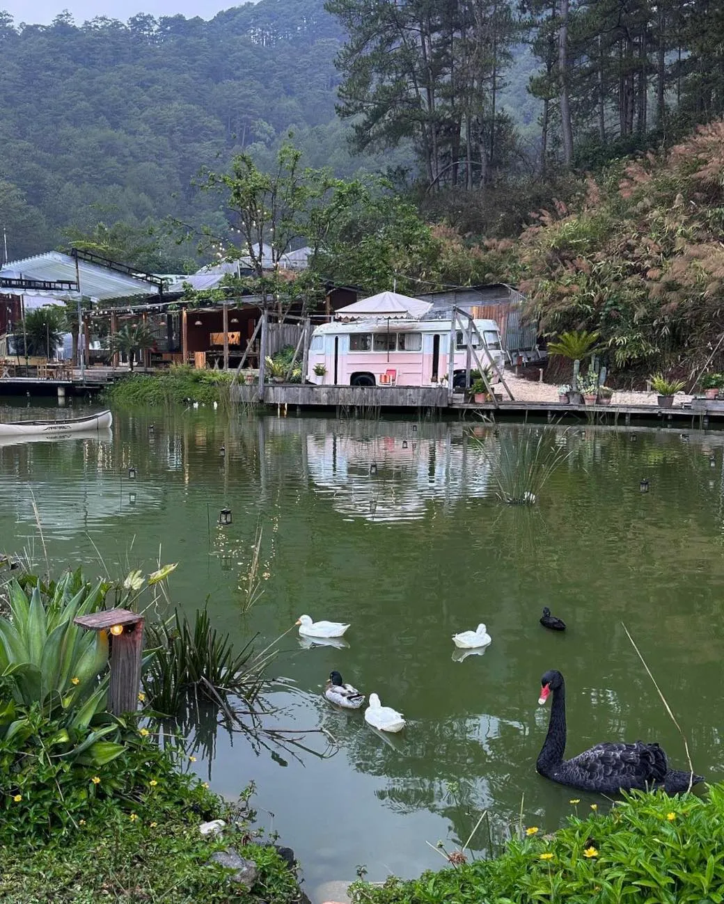 The Camp Inn - ảnh 5