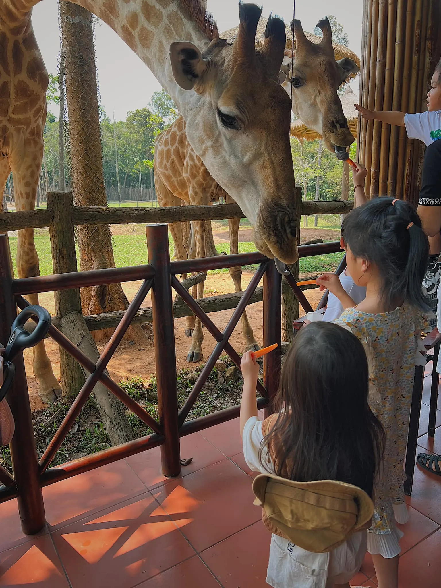 Vinpearl Safari Phú Quốc - ảnh 8