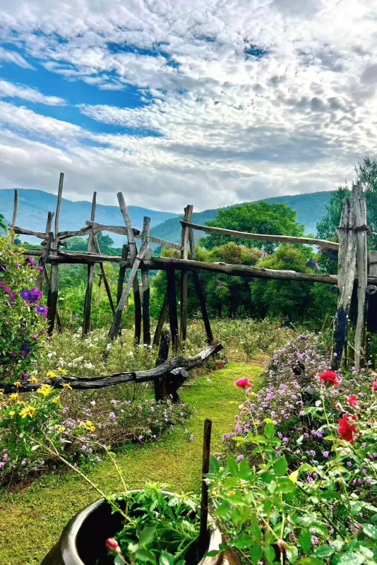 Em Tà Nung Coffee Farm - ảnh 5