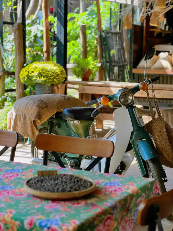 Em Tà Nung Coffee Farm - ảnh 4