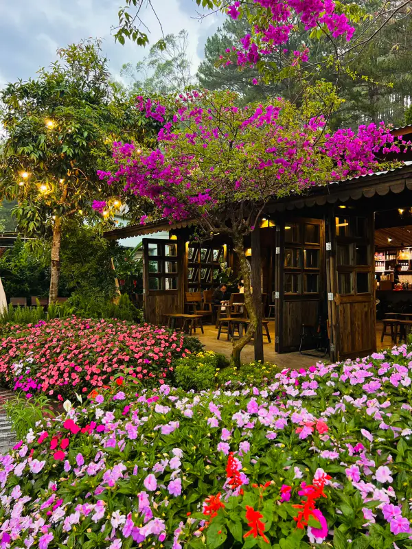 Tiệm cà phê Tây Hồ - ảnh 6
