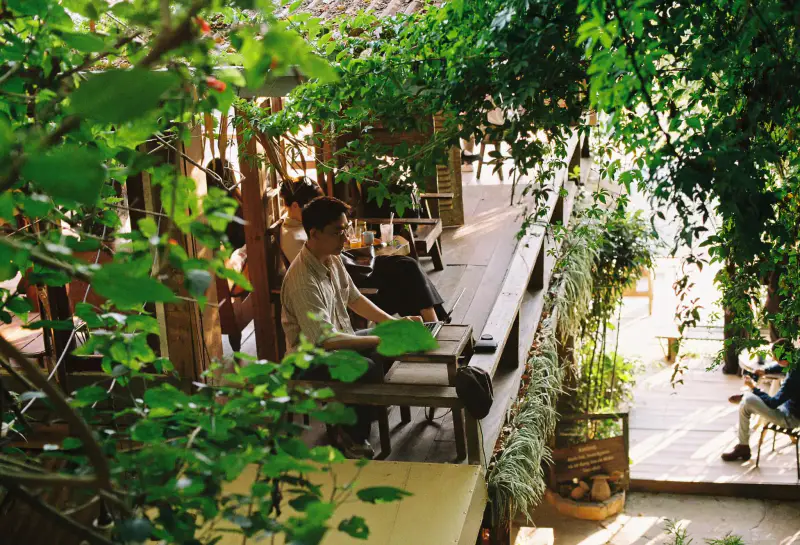 Tiệm cà phê Cheo veooo - ảnh 2