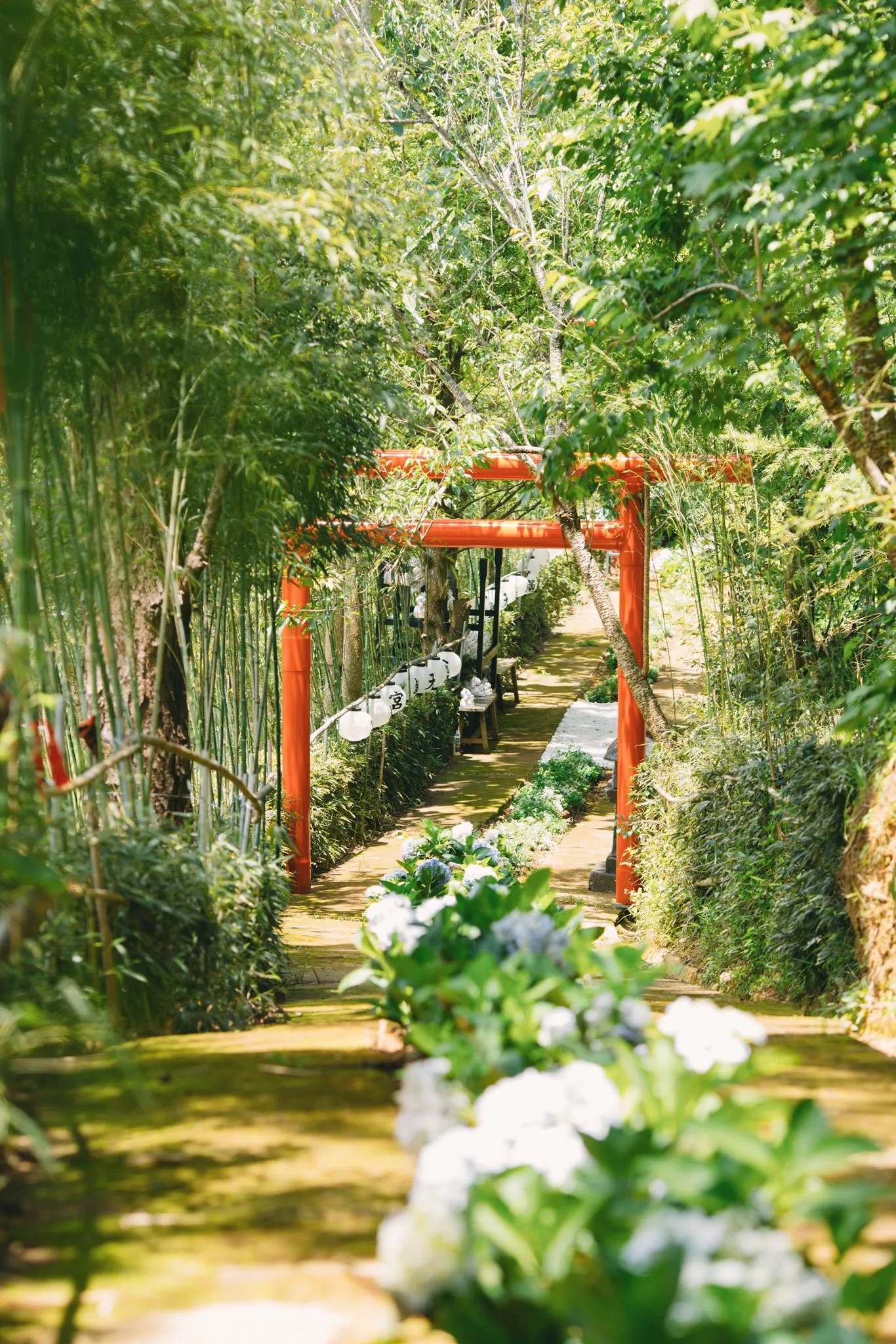 Kokoro Cafe - ảnh 2