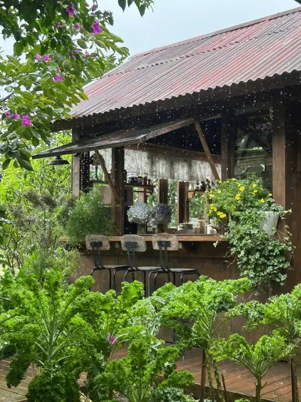 Tiệm cà phê Nắng Thuỷ Tinh - ảnh 7