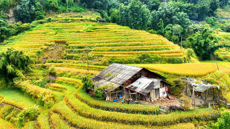 Thung lũng Mường Hoa - ảnh 4