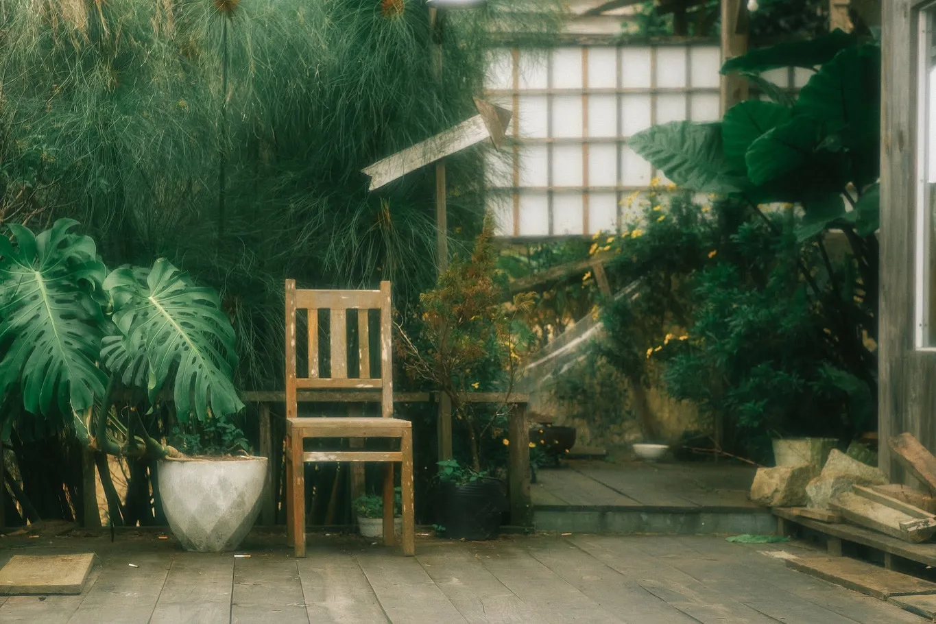 RỪNG NA UY cafe - ảnh 7