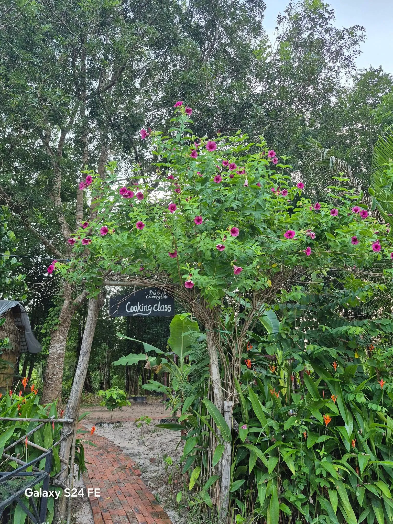 Phu Quoc Countryside - Pepper Farm - ảnh 7