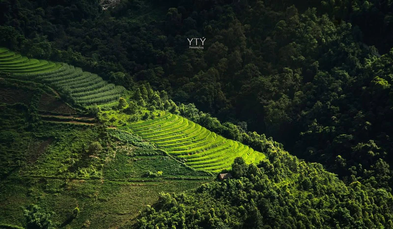 Xã Y Tý - ảnh 5