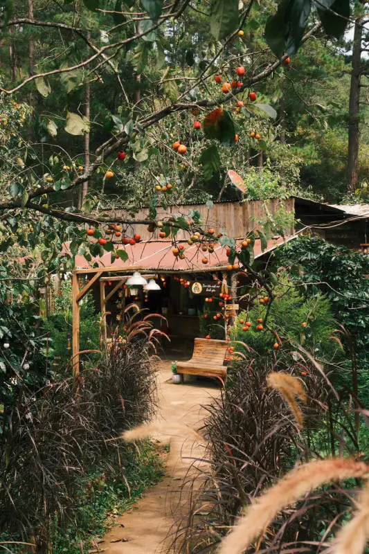 Bao tiền một mớ bình yên - ảnh 4