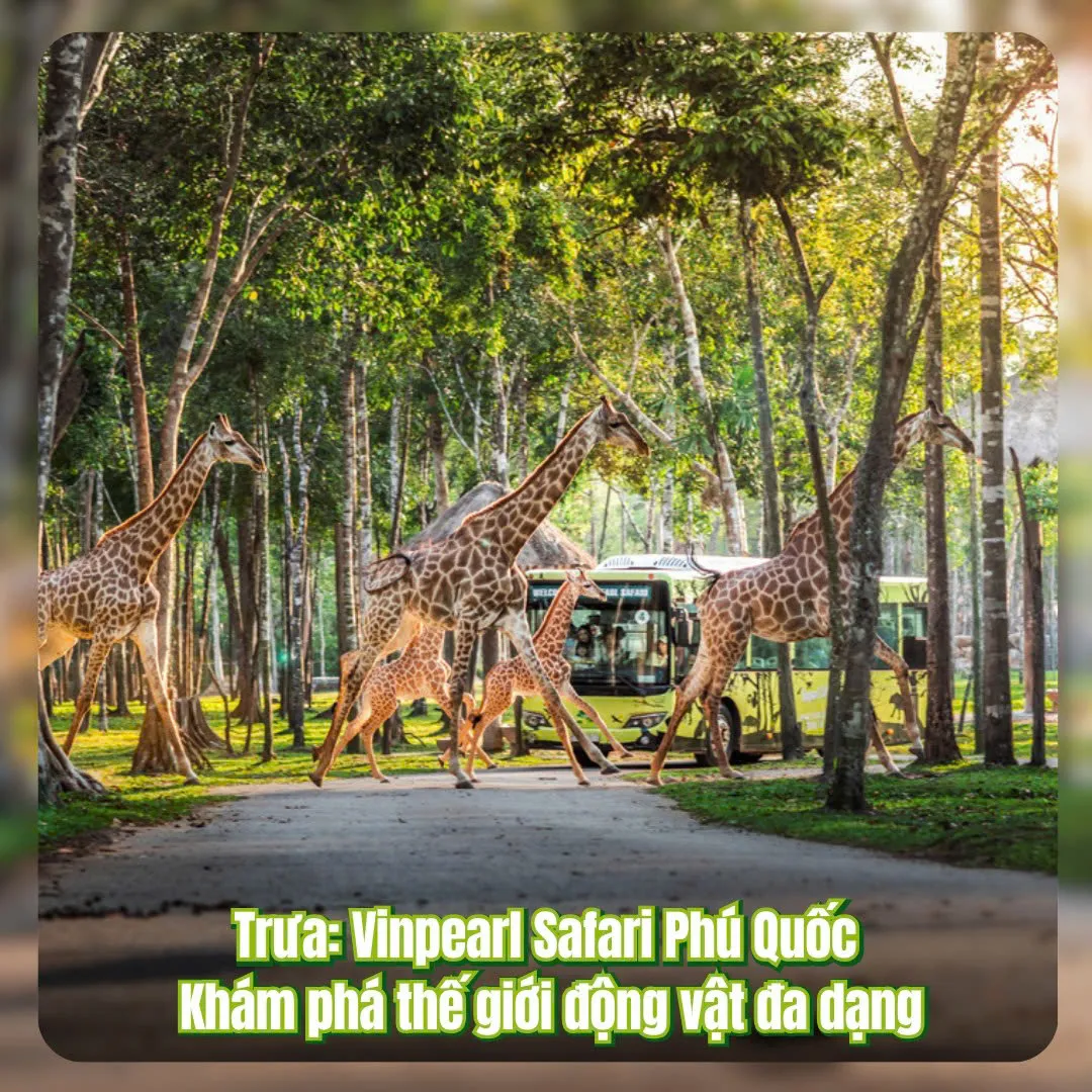 Vinpearl Safari Phú Quốc - ảnh 5