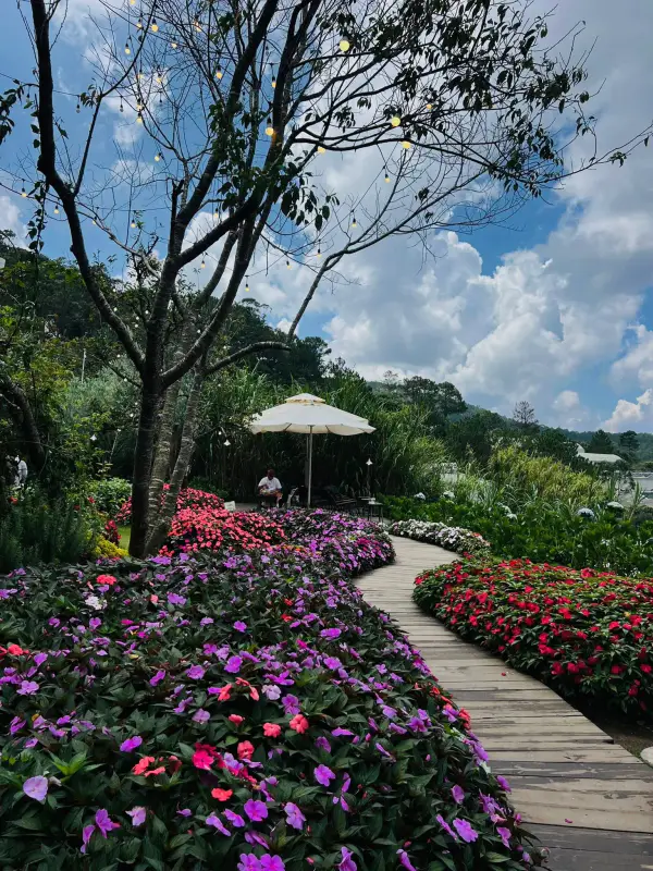 Tiệm cà phê Tây Hồ - ảnh 2