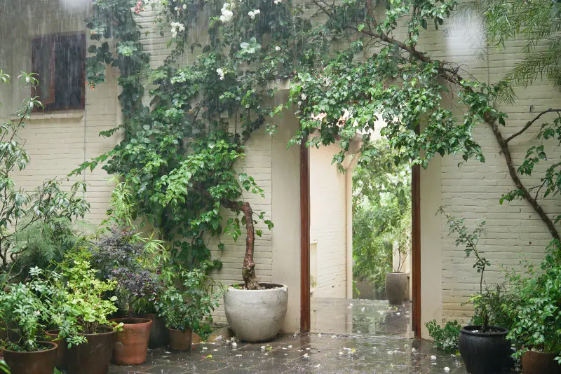 Émai Italian Restaurant & Gardens - ảnh 6