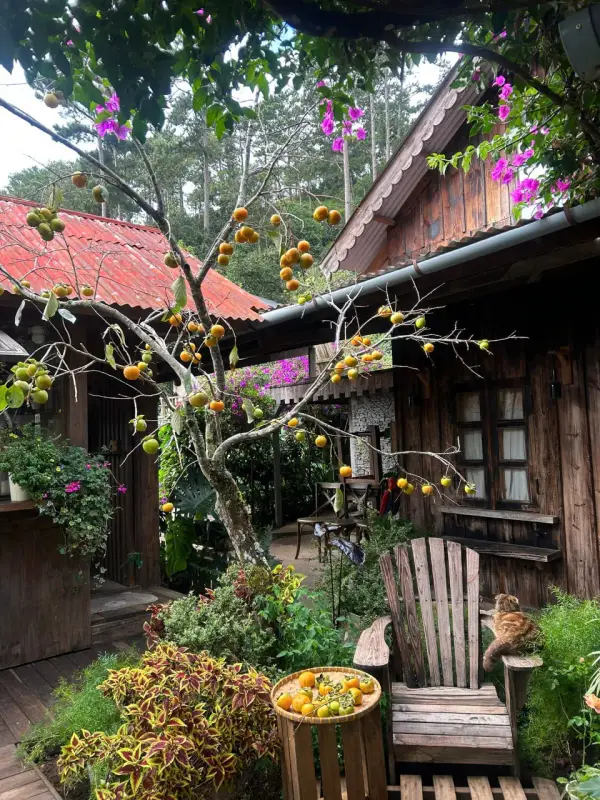 Tiệm cà phê Nắng Thuỷ Tinh - ảnh 5