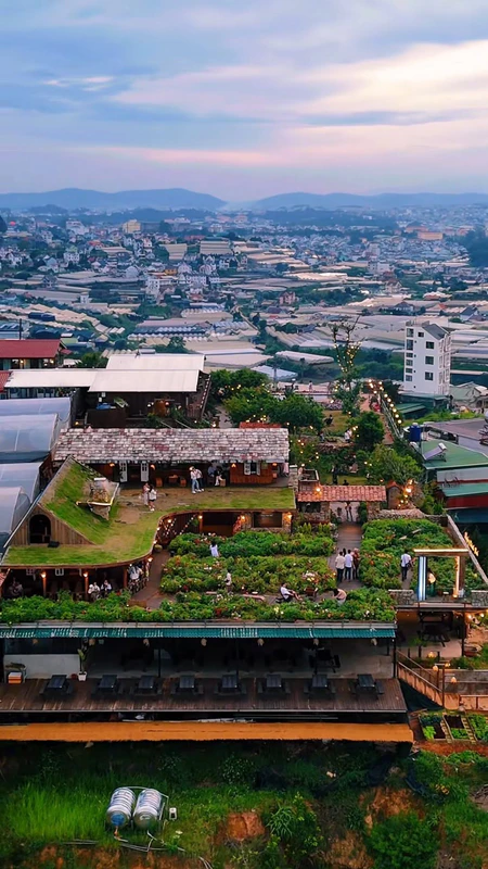 Ngày Thảnh Thơi Cafe - ảnh 4