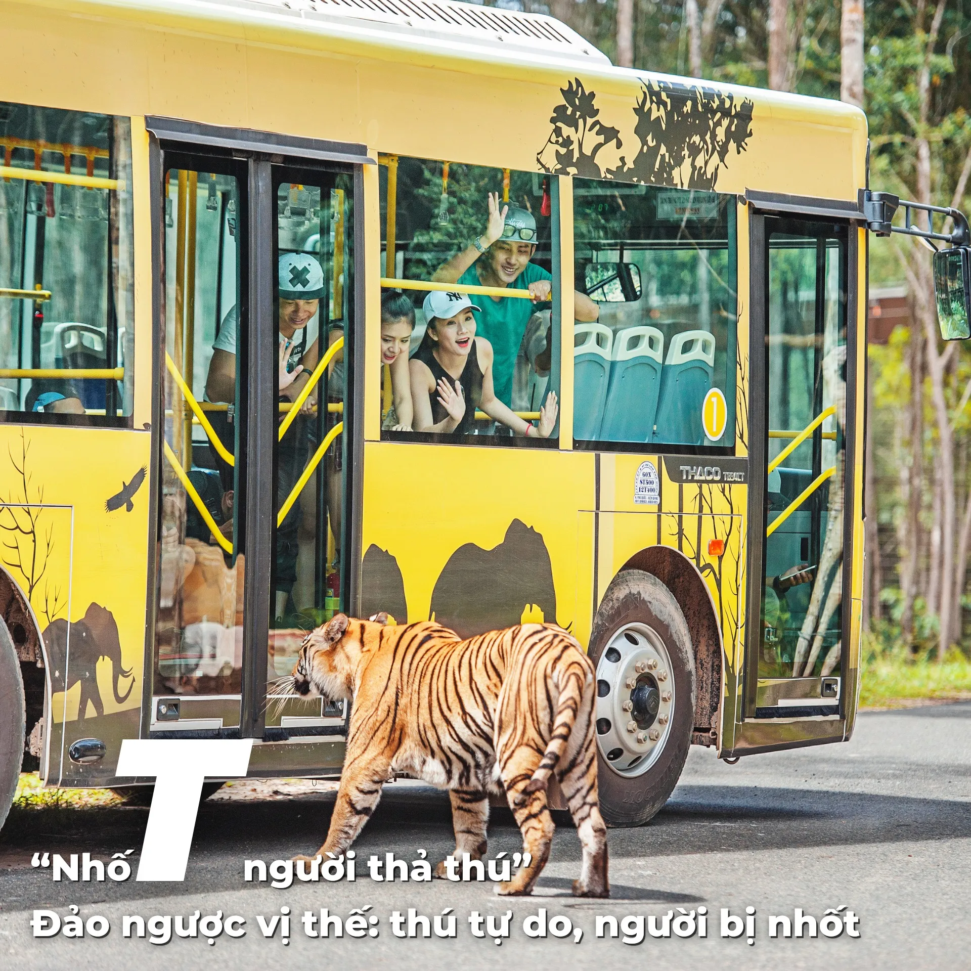 Vinpearl Safari Phú Quốc - ảnh 6
