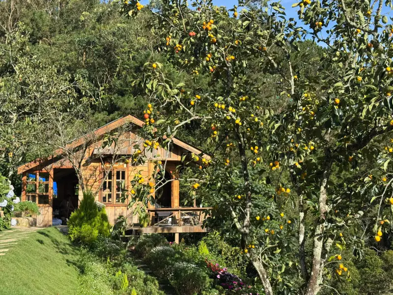 Tiệm cà phê Nhà Của Thông - ảnh 2